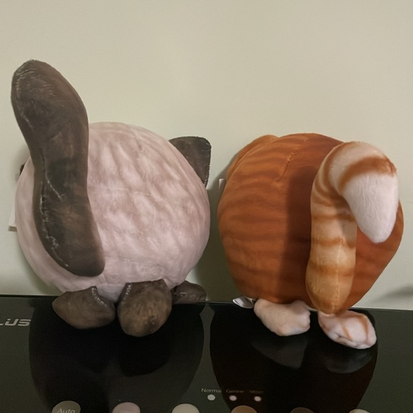 Cuddle Pets Cats - Picture 3 of 8